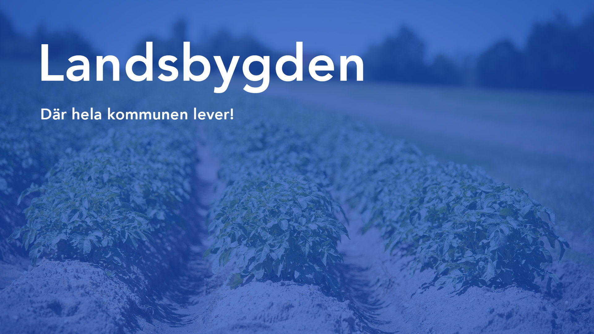 Landsbygd